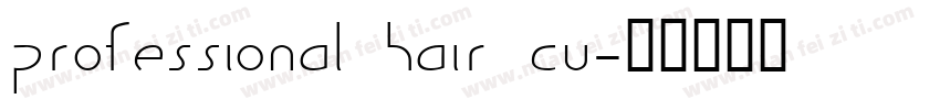 professional hair cu字体转换